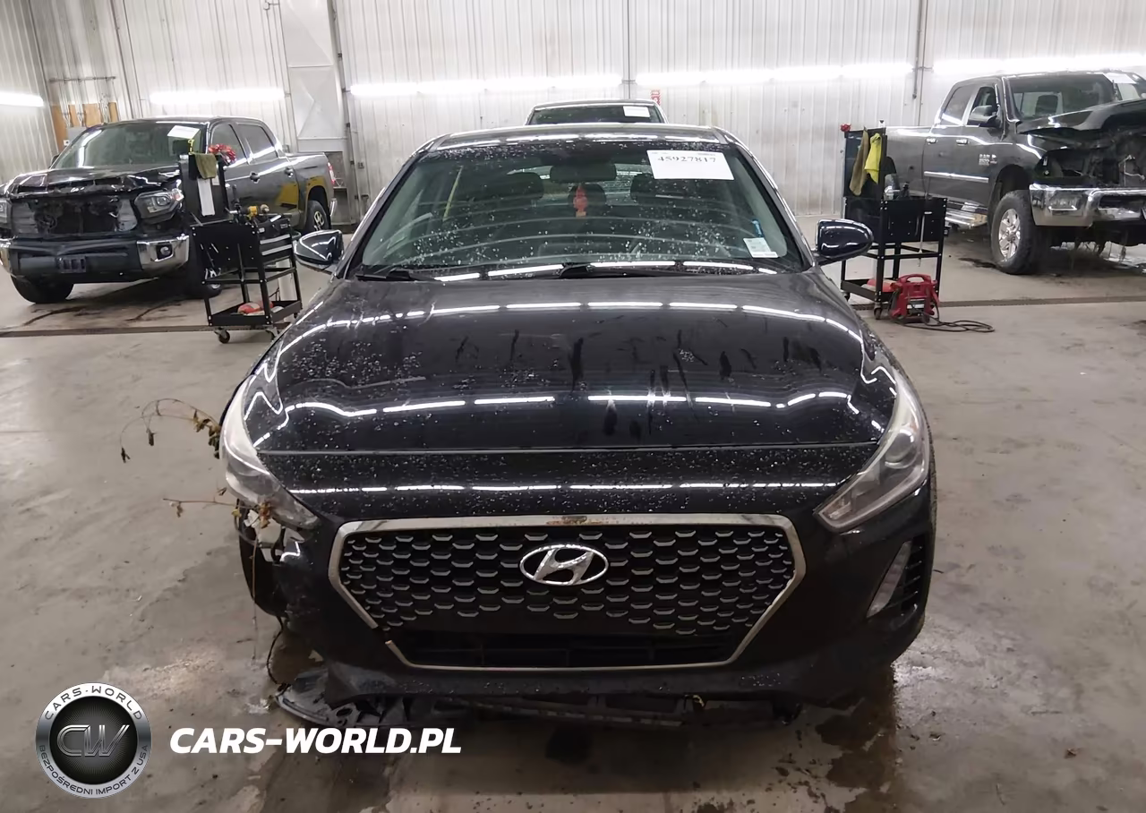 2019 Hyundai Elantra Gt VIN:KMHH35LE8KU096952 - 13