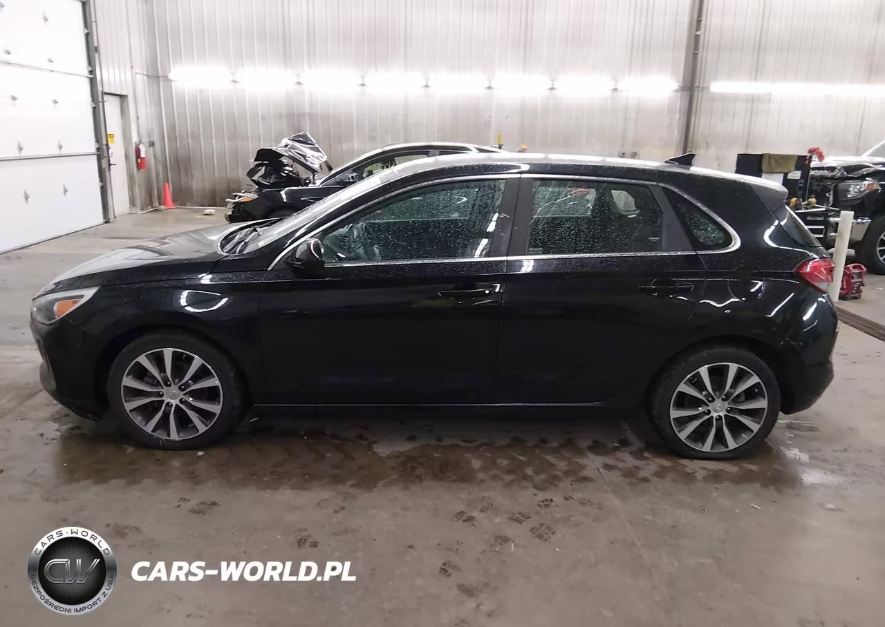 2019 Hyundai Elantra Gt VIN:KMHH35LE8KU096952 - 15