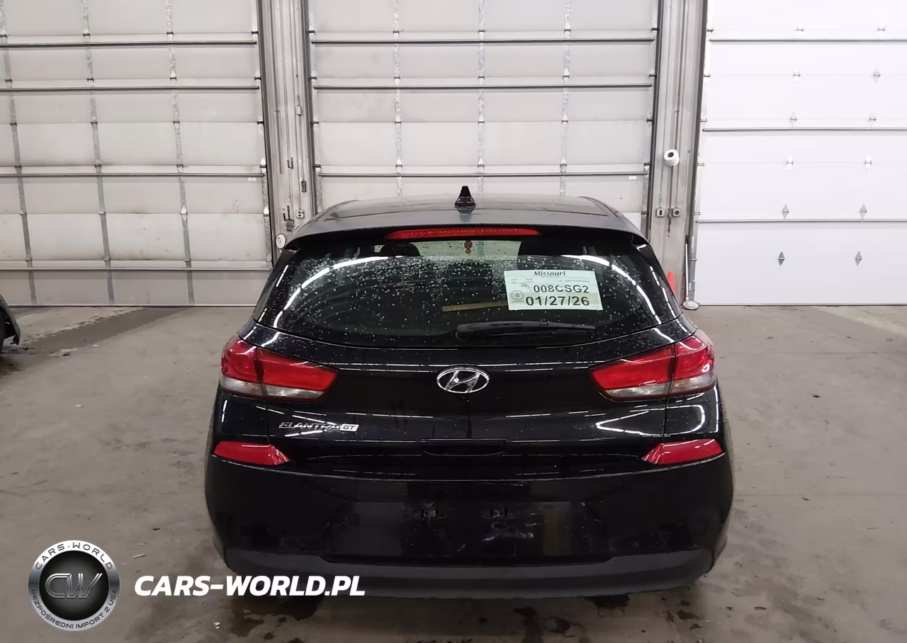 2019 Hyundai Elantra Gt VIN:KMHH35LE8KU096952 - 17