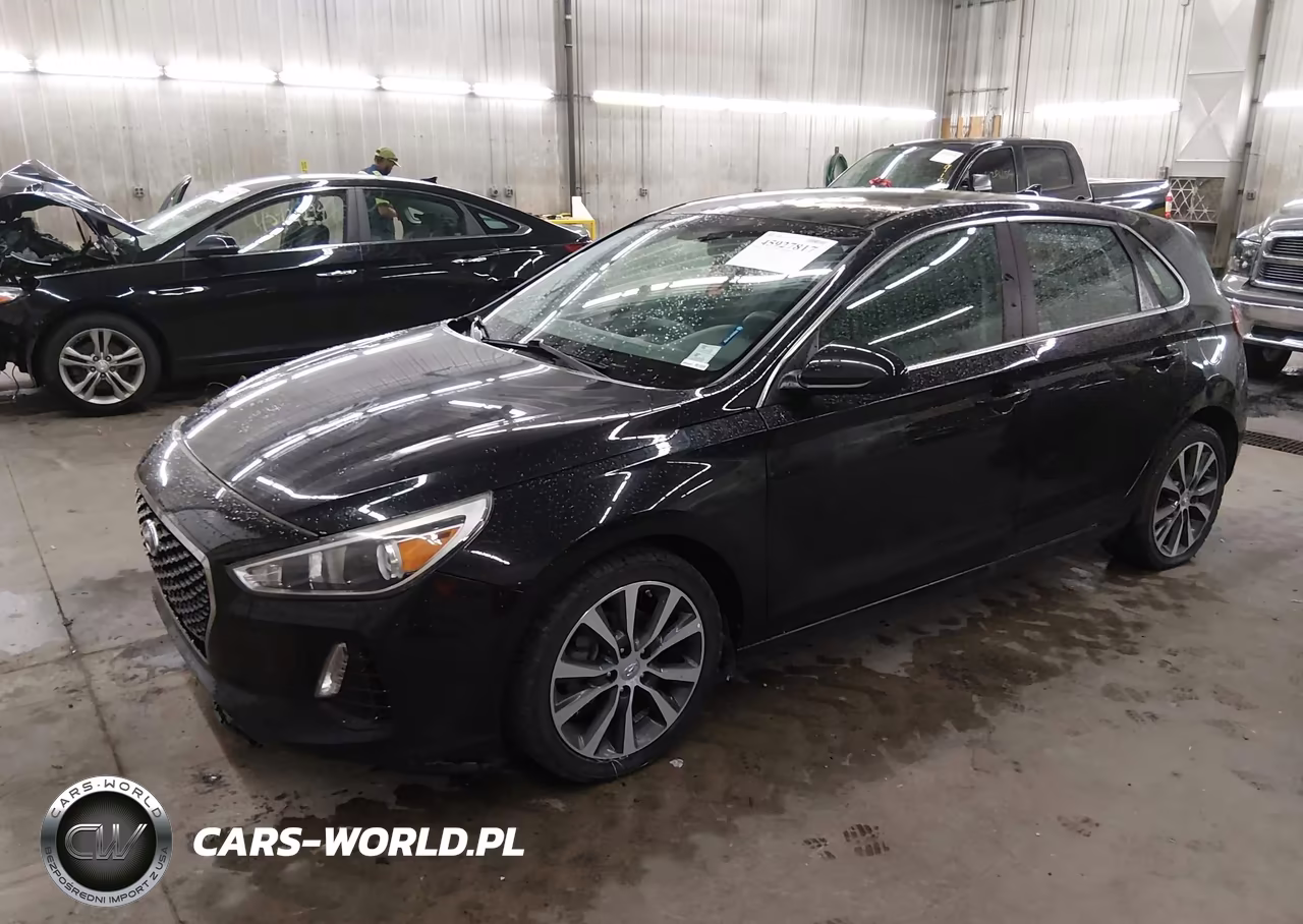 2019 Hyundai Elantra Gt VIN:KMHH35LE8KU096952 - 2