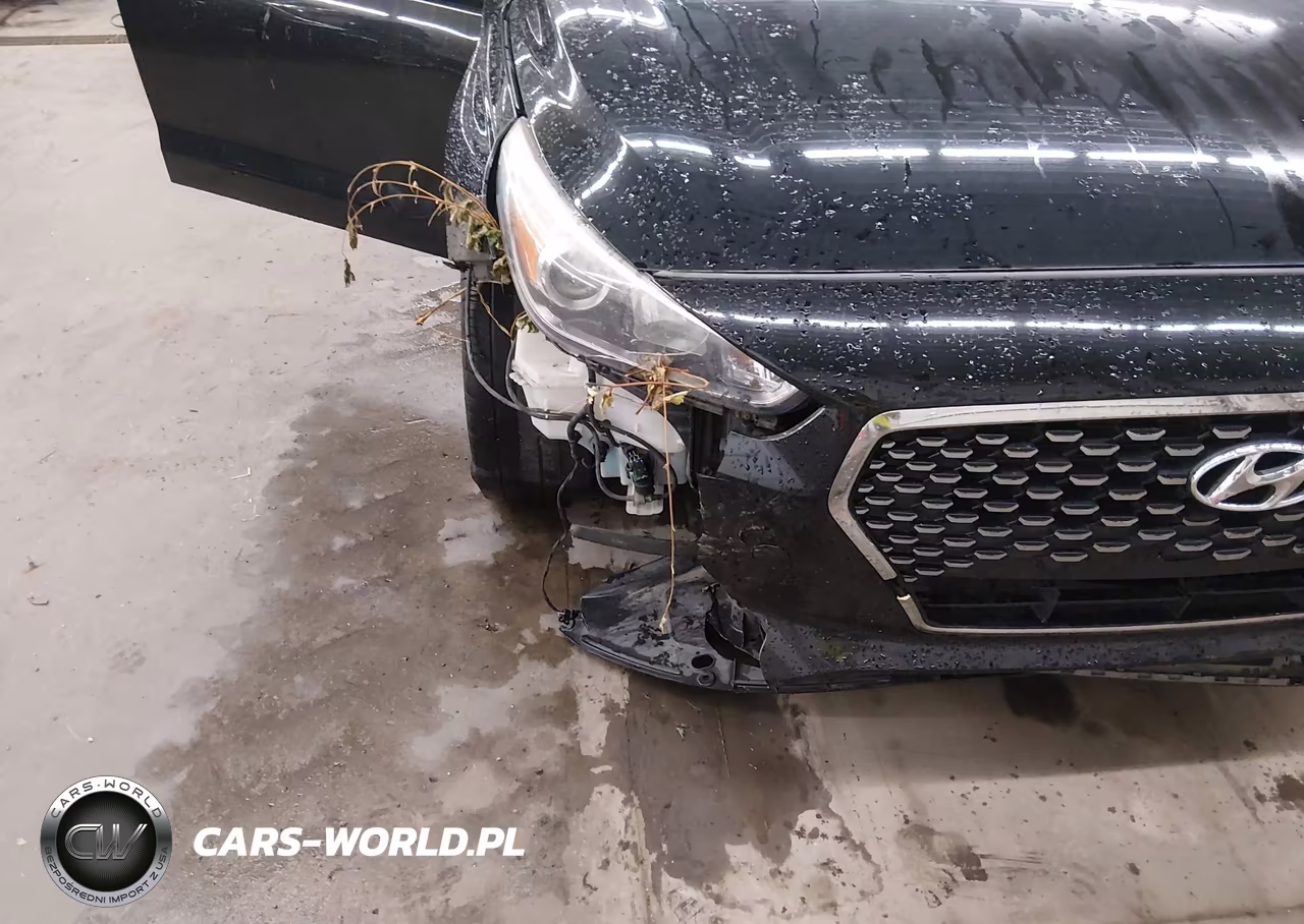 2019 Hyundai Elantra Gt VIN:KMHH35LE8KU096952 - 6