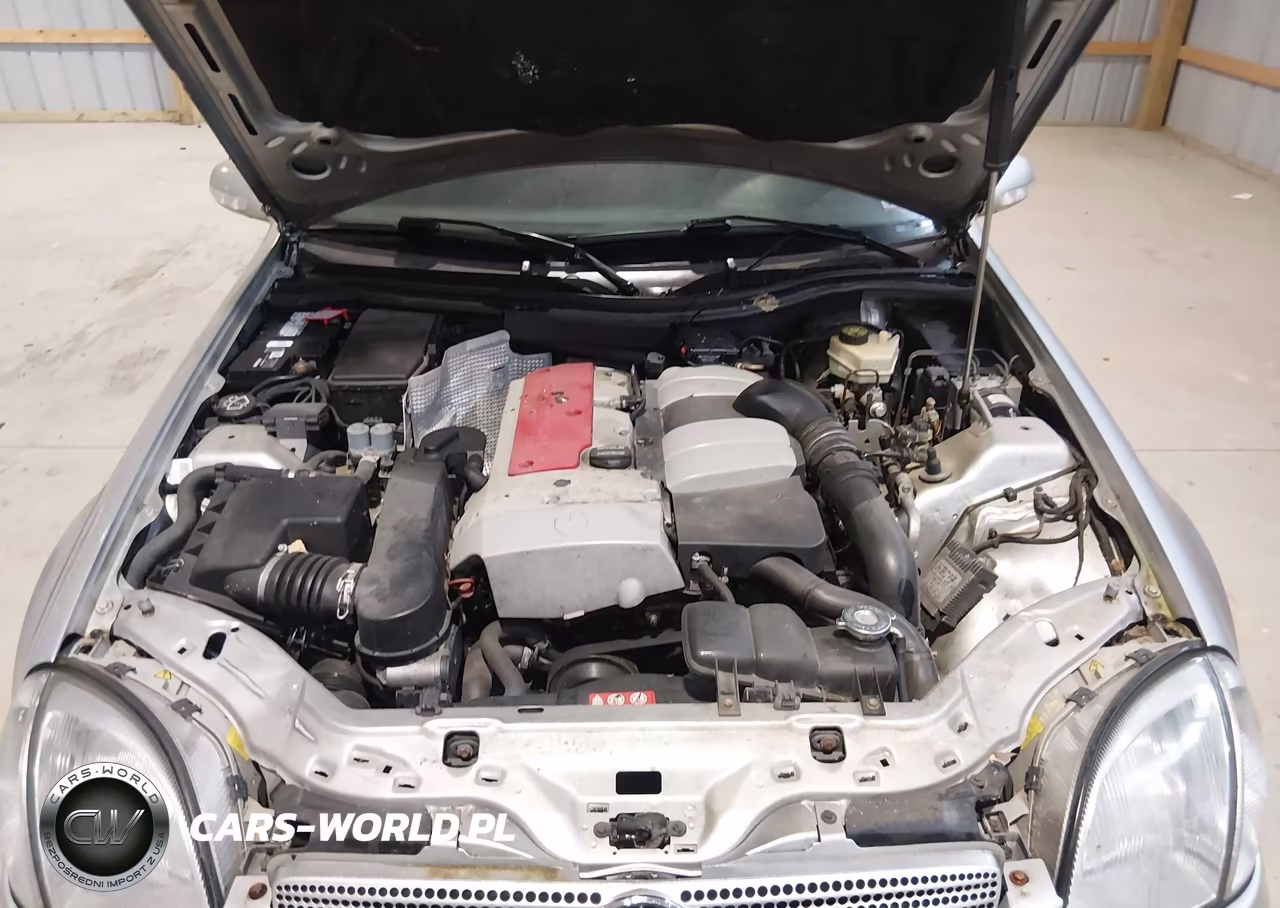 2004 Mercedes-Benz Slk 230 Kompressor VIN:WDBKK49F64F311404 - 10