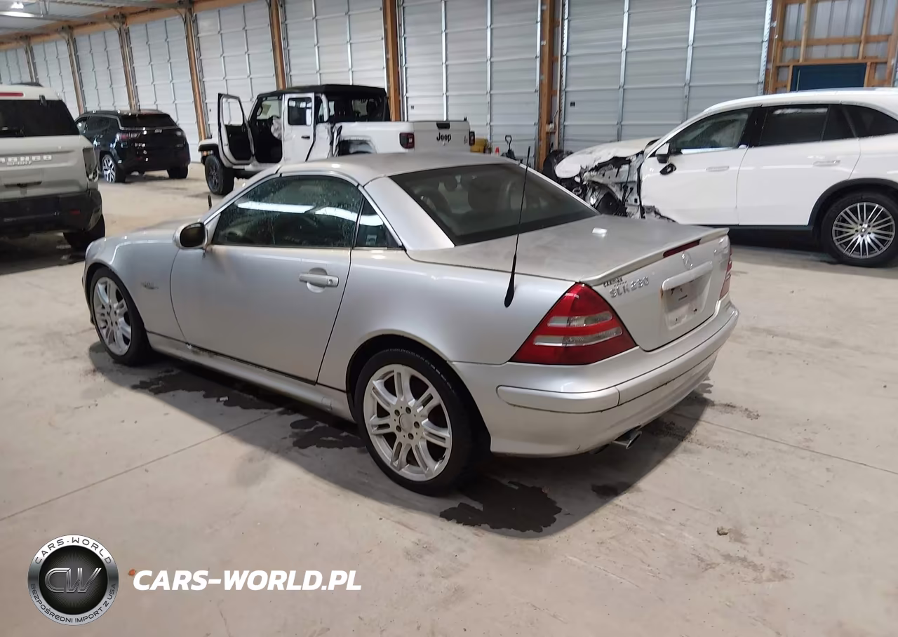 2004 Mercedes-Benz Slk 230 Kompressor VIN:WDBKK49F64F311404 - 3