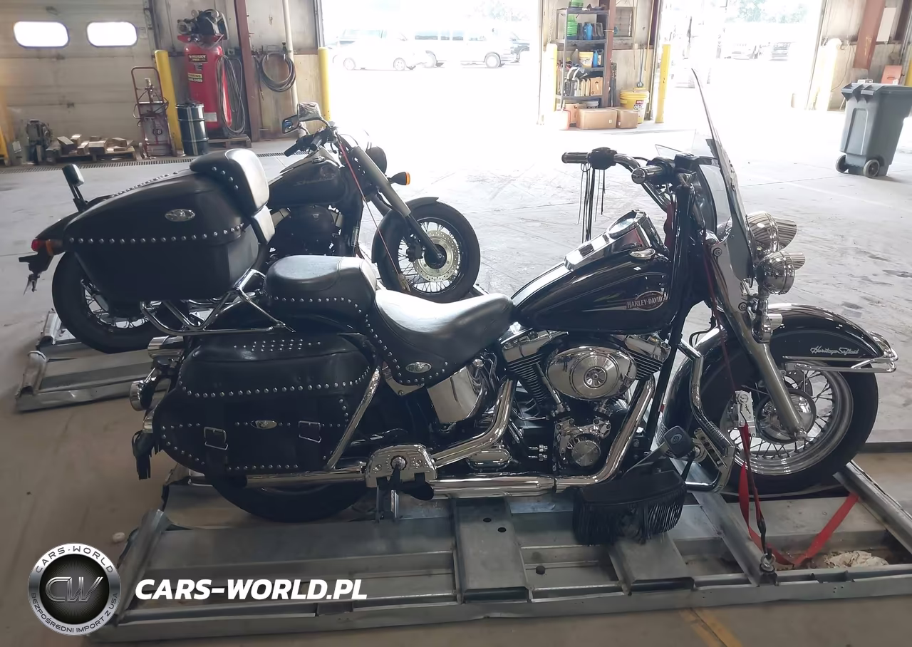 2006 Harley-Davidson Flstci VIN:1HD1BWB166Y052300 - 11
