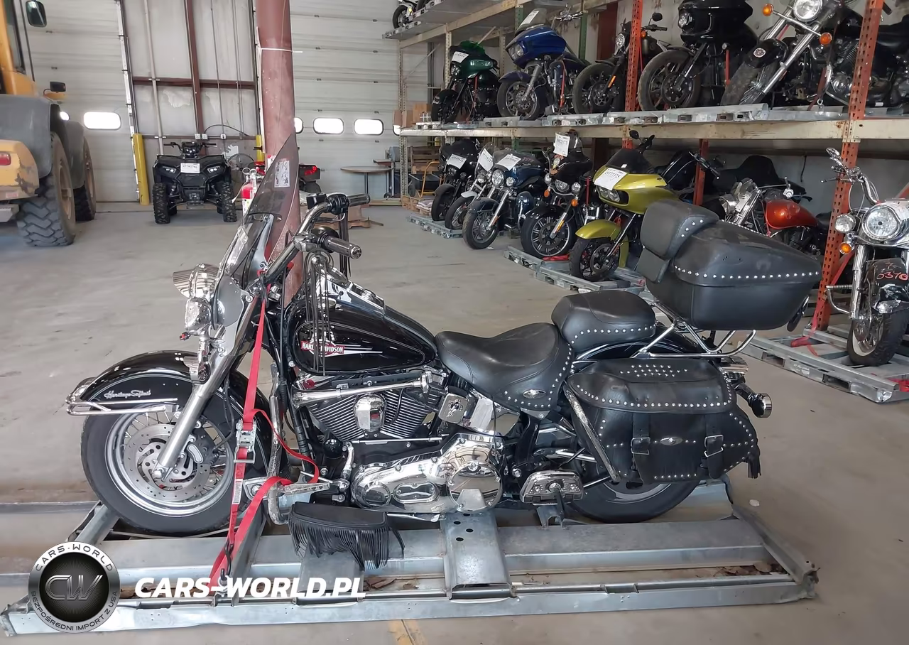 2006 Harley-Davidson Flstci VIN:1HD1BWB166Y052300 - 12