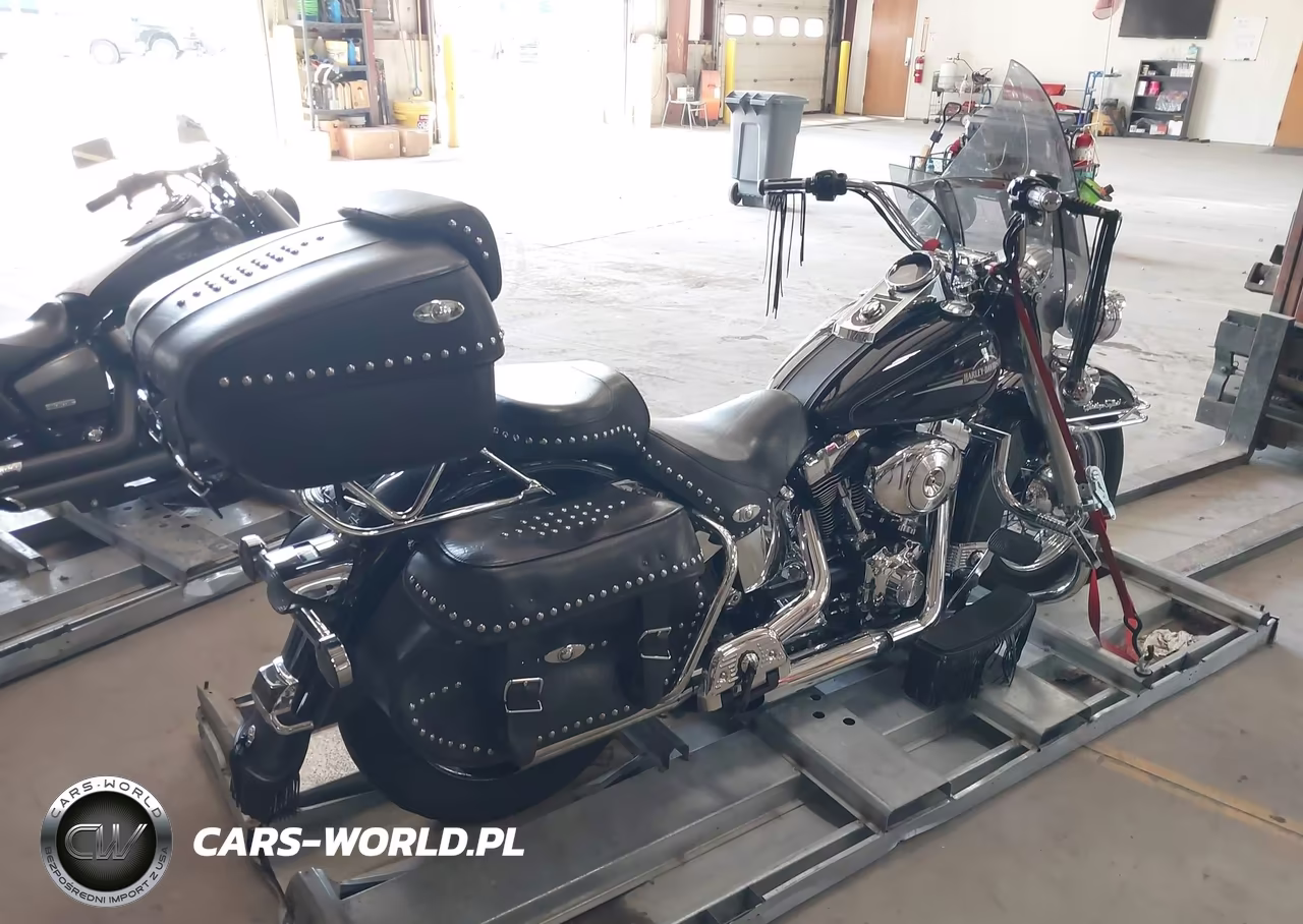 2006 Harley-Davidson Flstci VIN:1HD1BWB166Y052300 - 4