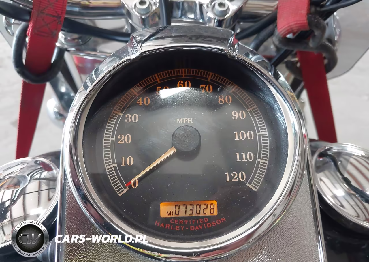 2006 Harley-Davidson Flstci VIN:1HD1BWB166Y052300 - 7