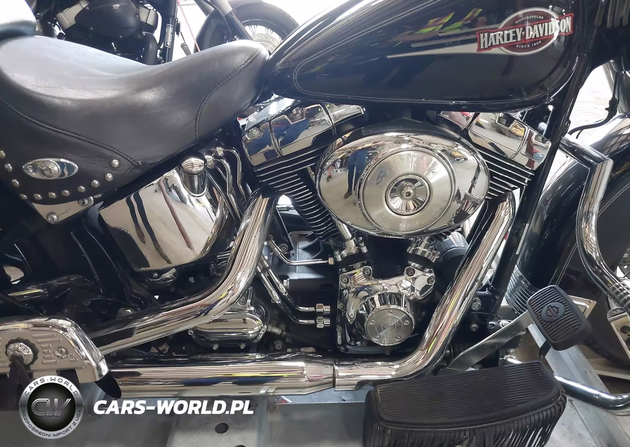 2006 Harley-Davidson Flstci VIN:1HD1BWB166Y052300 - 8
