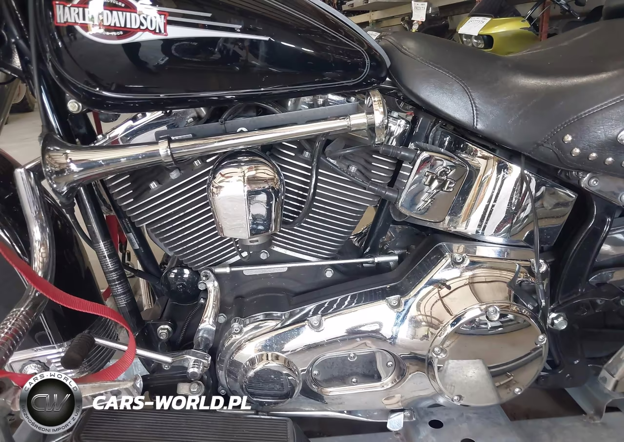 2006 Harley-Davidson Flstci VIN:1HD1BWB166Y052300 - 9
