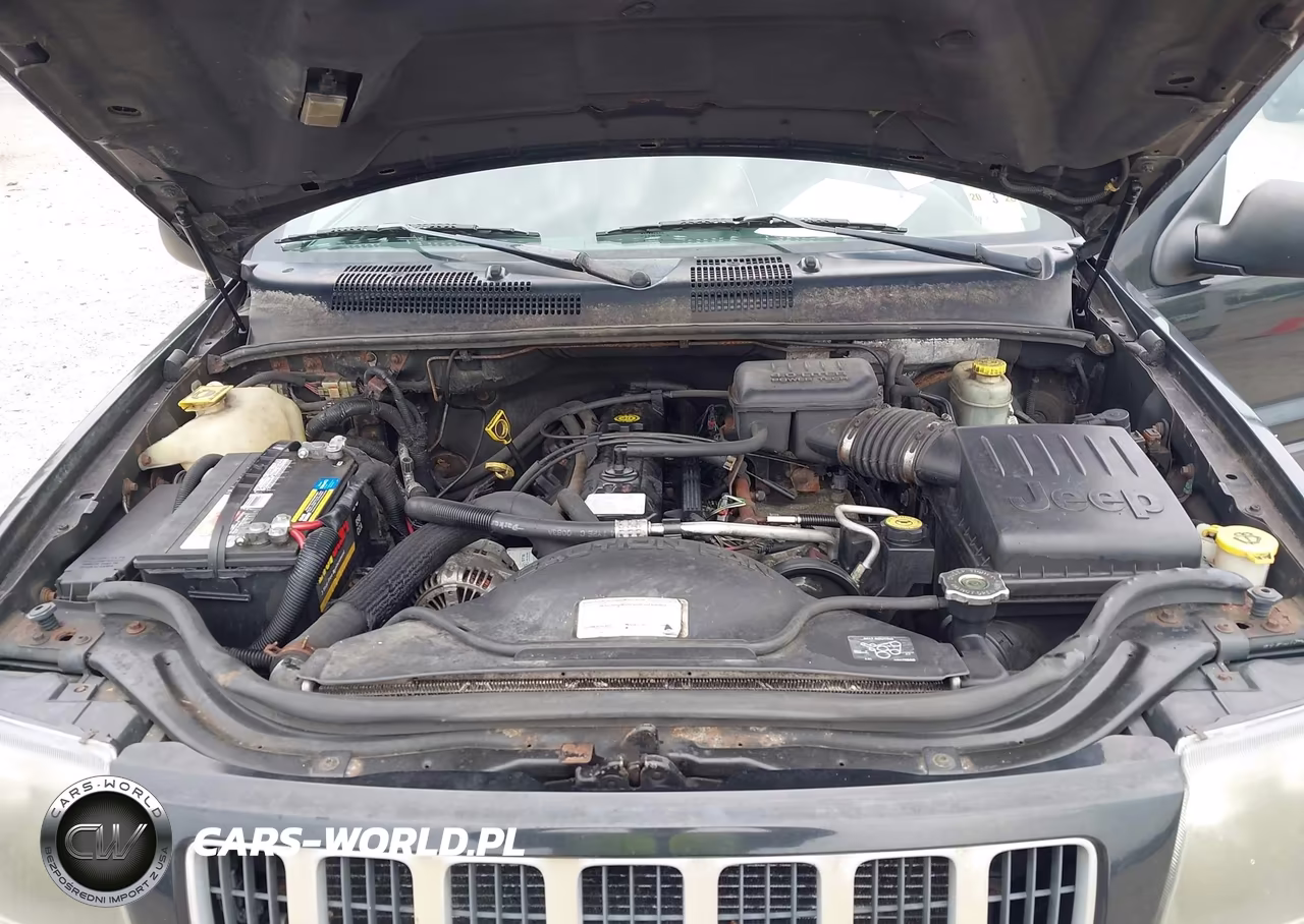 2004 Jeep Grand Cherokee Laredo VIN:1J4GX48S44C122401 - 10