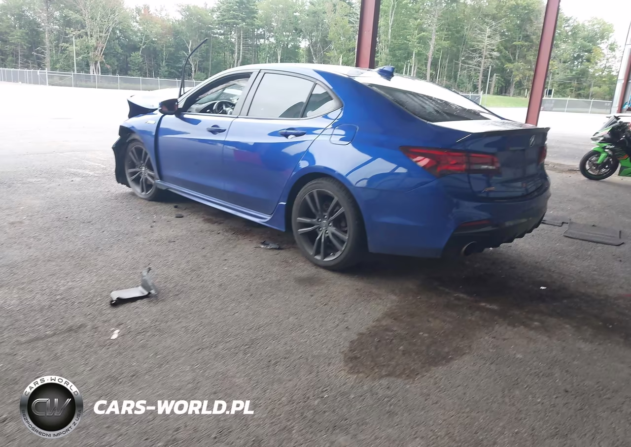 2020 Acura Tlx A-Spec-A-Spec W-Red Leather VIN:19UUB1F6XLA008474 - 3
