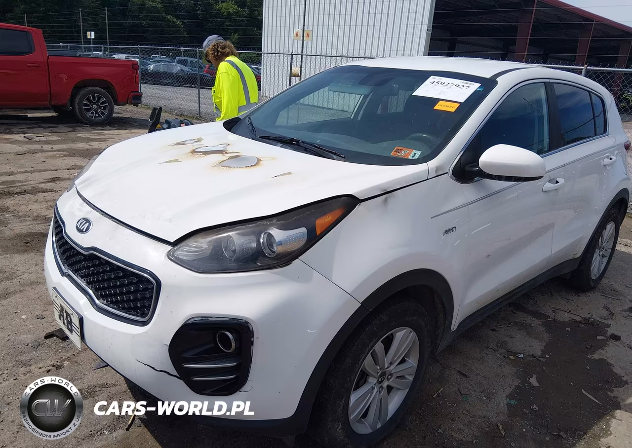 2019 Kia Sportage Lx VIN:KNDPMCAC6K7575050 - 2