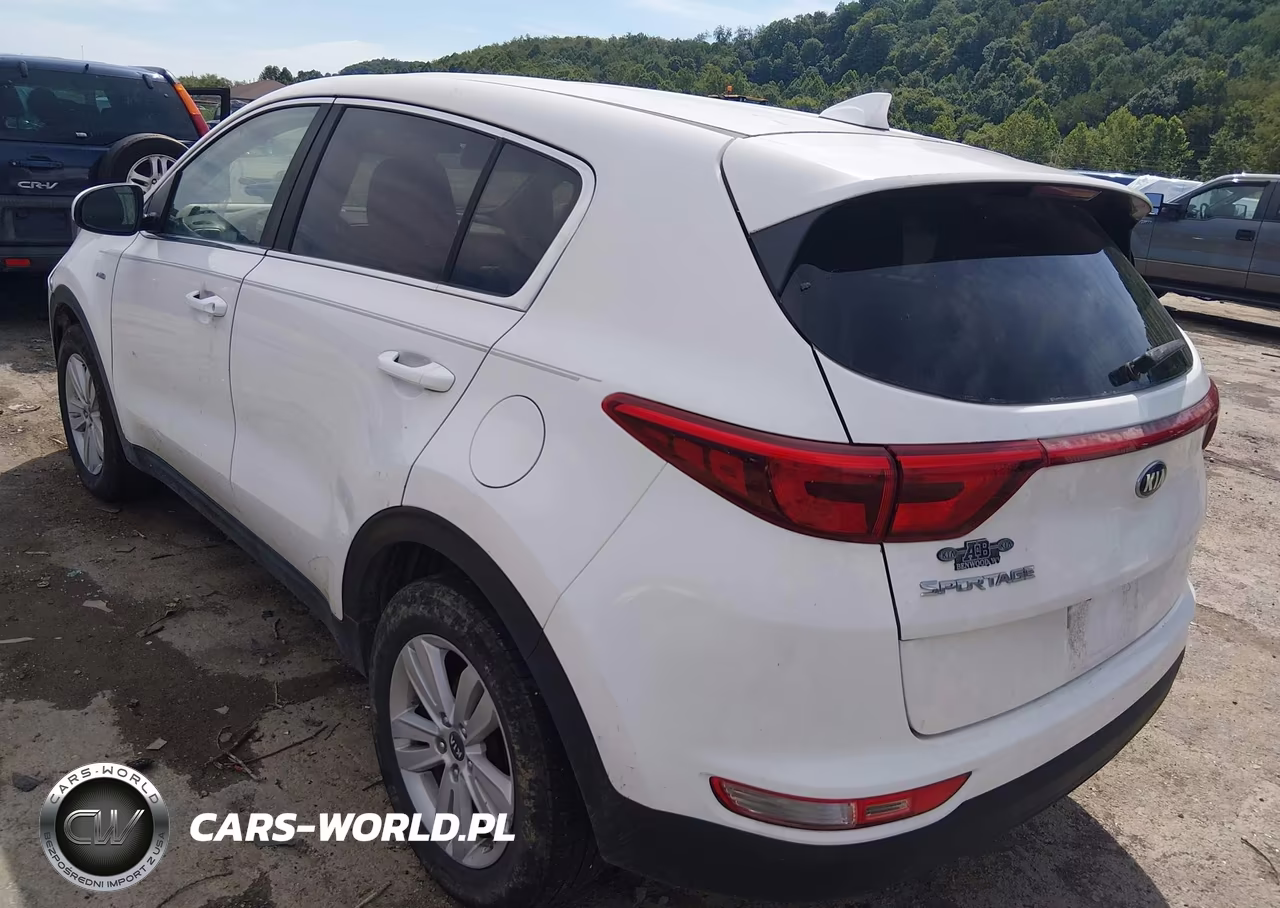 2019 Kia Sportage Lx VIN:KNDPMCAC6K7575050 - 3