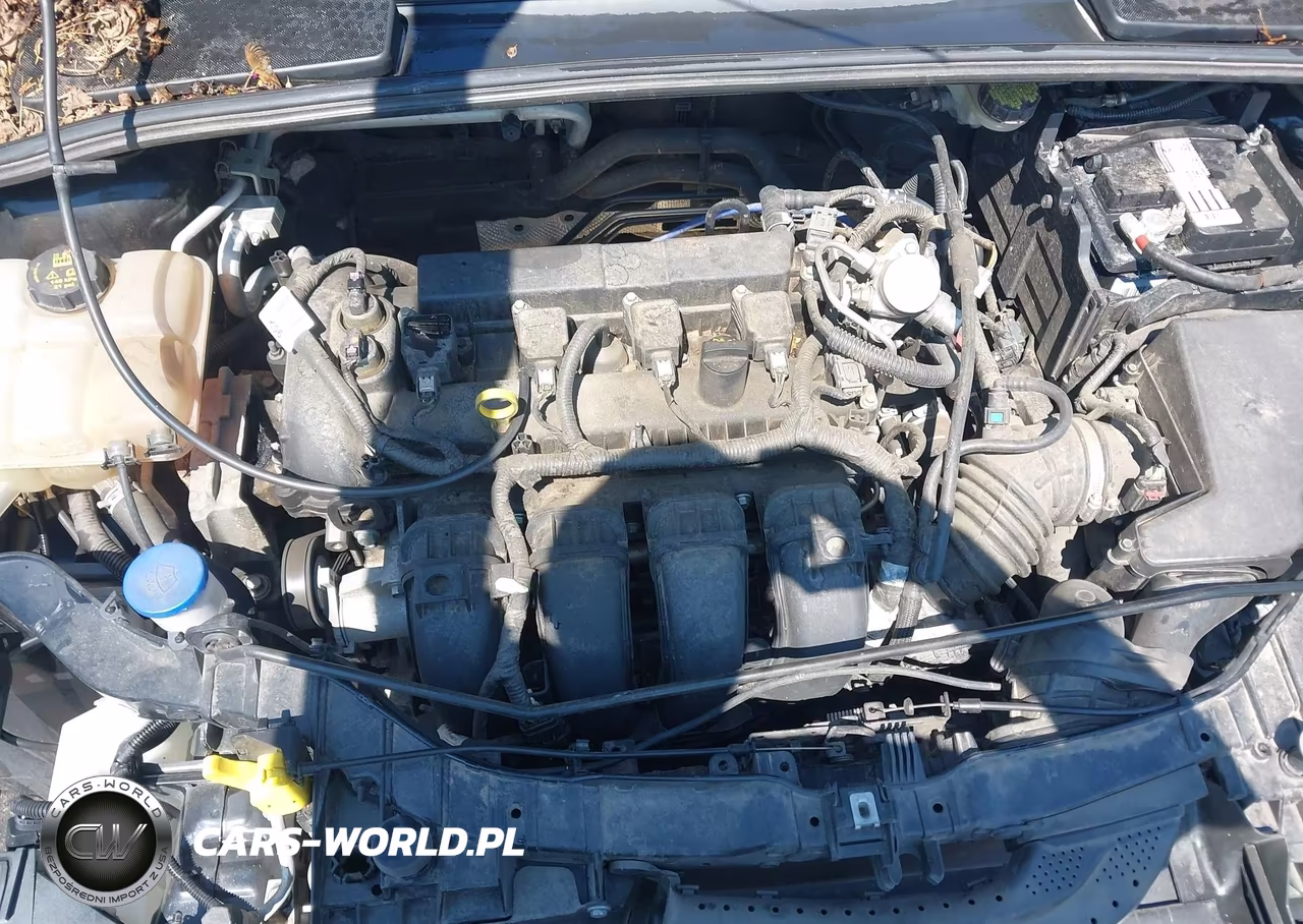 2016 Ford Focus Se VIN:1FADP3K25GL350123 - 10