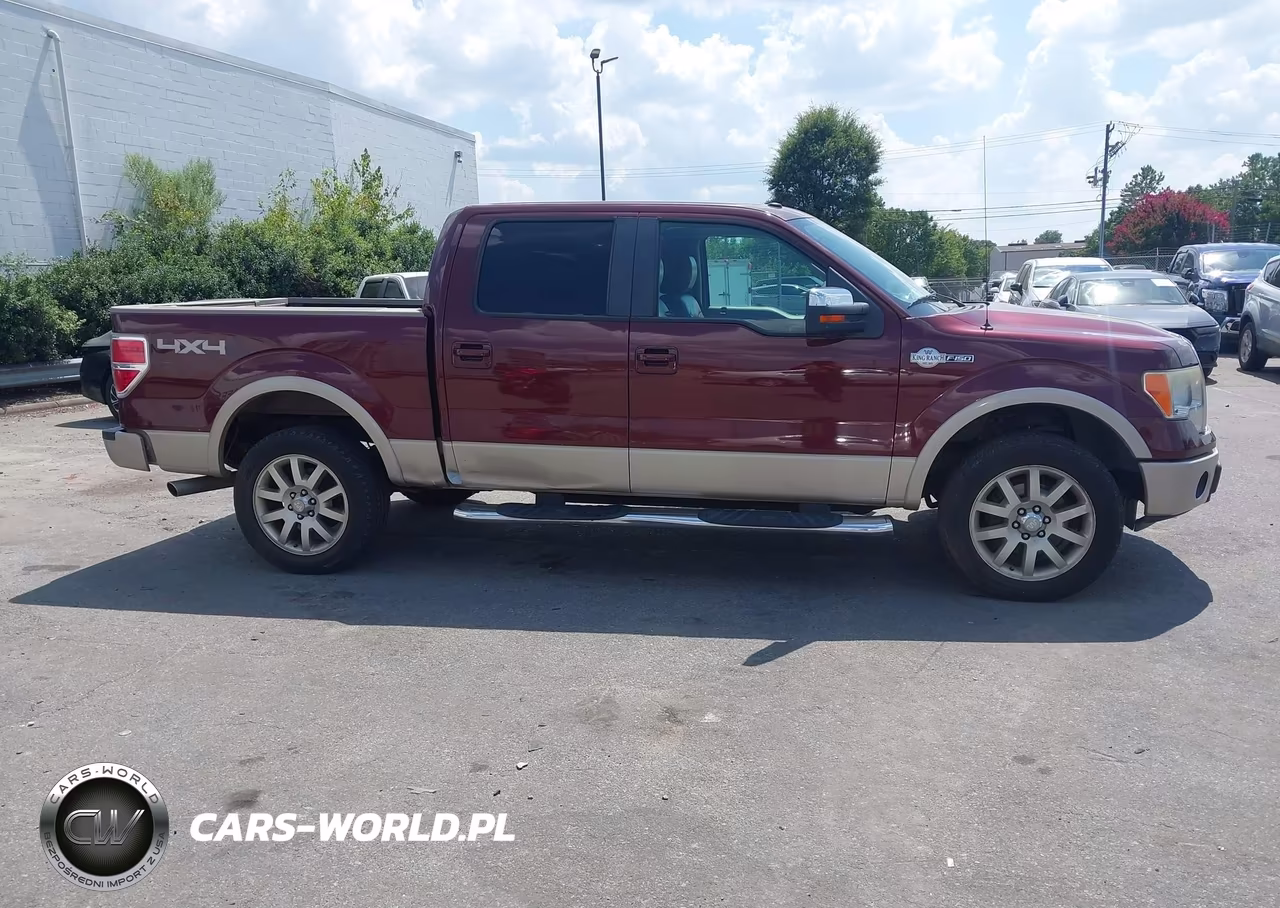 2010 Ford F-150 Fx4-Harley-Davidson-King Ranch-Lariat-Platinum-Xl-Xlt VIN:1FTFW1EV3AKA60167 - 13