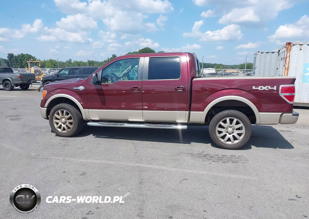 2010 Ford F-150 Fx4-Harley-Davidson-King Ranch-Lariat-Platinum-Xl-Xlt VIN:1FTFW1EV3AKA60167 - 14