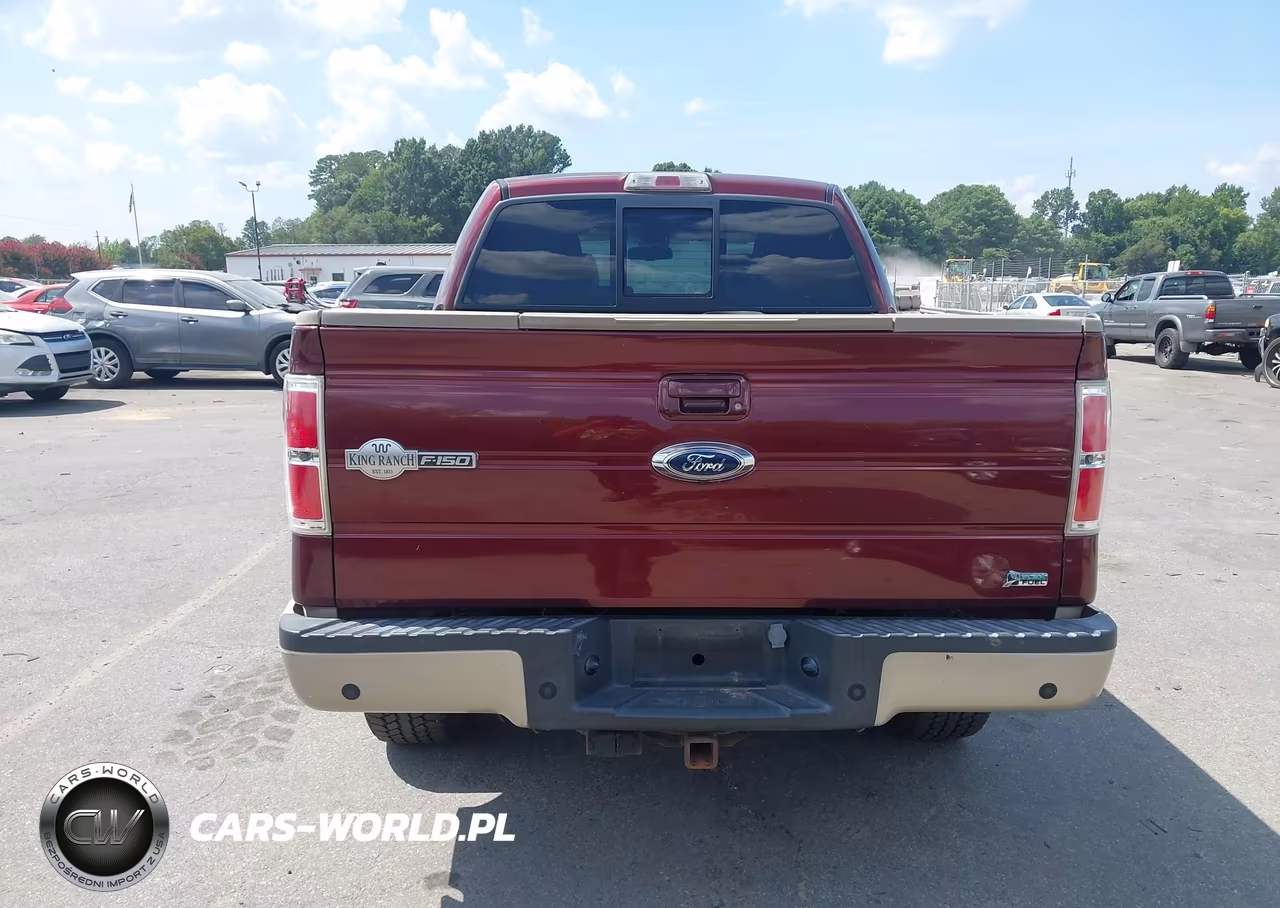2010 Ford F-150 Fx4-Harley-Davidson-King Ranch-Lariat-Platinum-Xl-Xlt VIN:1FTFW1EV3AKA60167 - 16