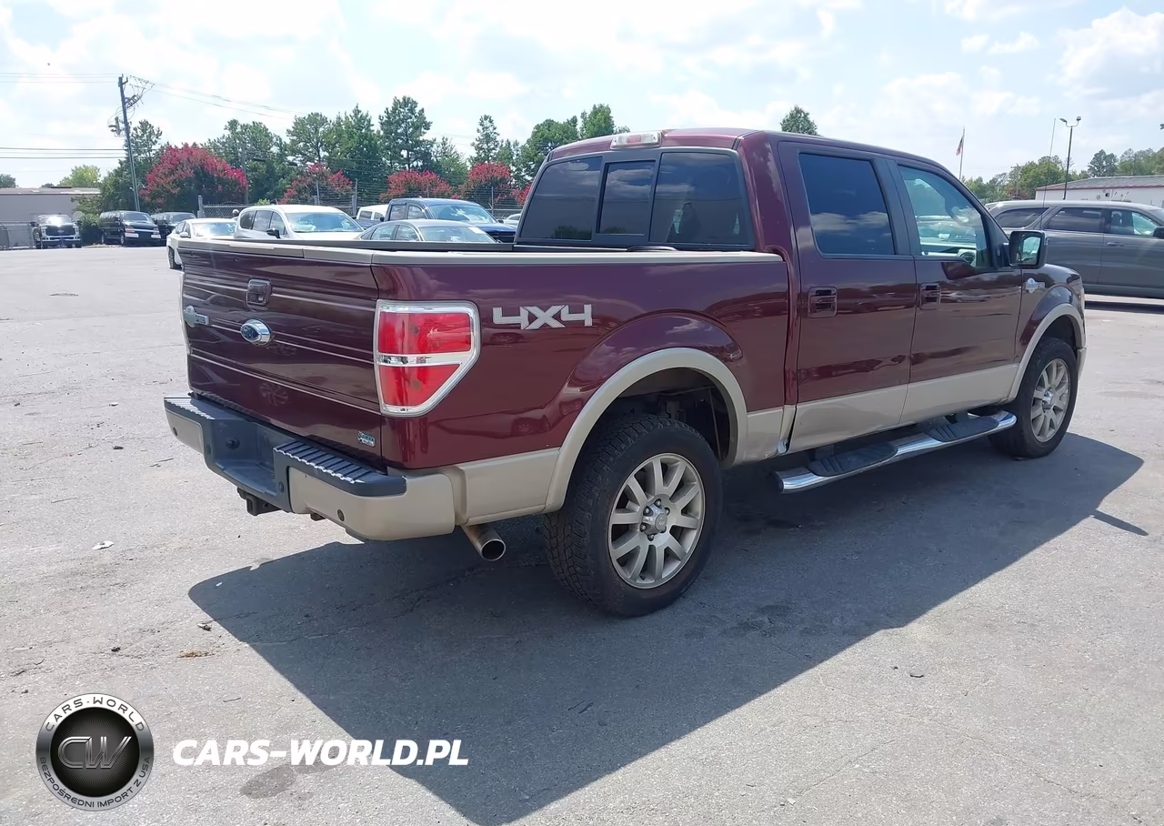 2010 Ford F-150 Fx4-Harley-Davidson-King Ranch-Lariat-Platinum-Xl-Xlt VIN:1FTFW1EV3AKA60167 - 4