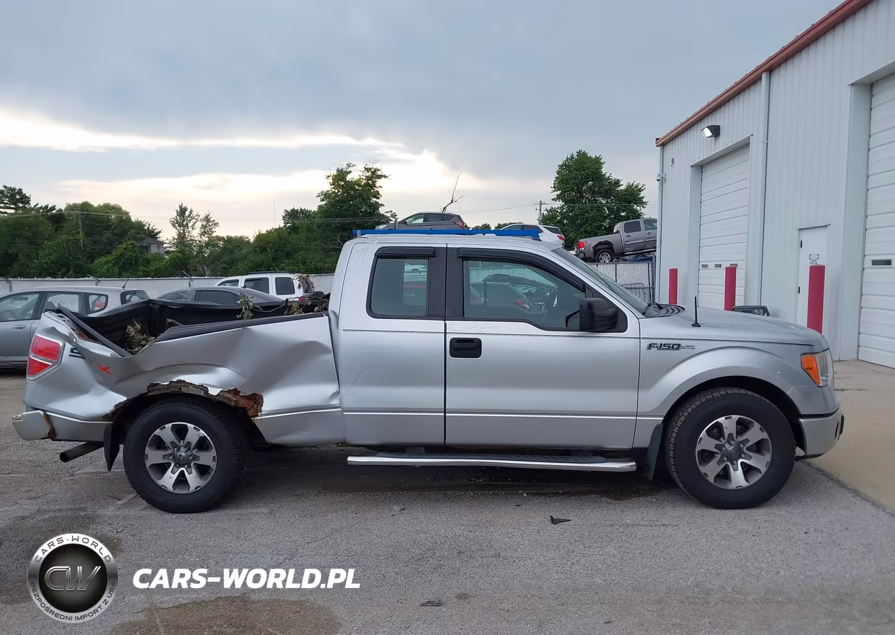 2013 Ford F-150 Stx VIN:1FTFX1CF9DKD59997 - 13