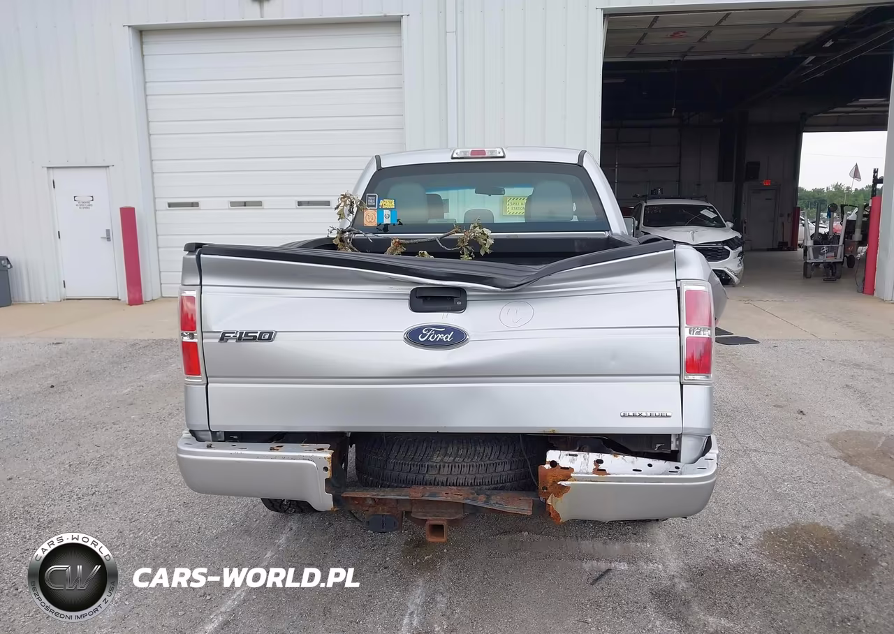 2013 Ford F-150 Stx VIN:1FTFX1CF9DKD59997 - 16