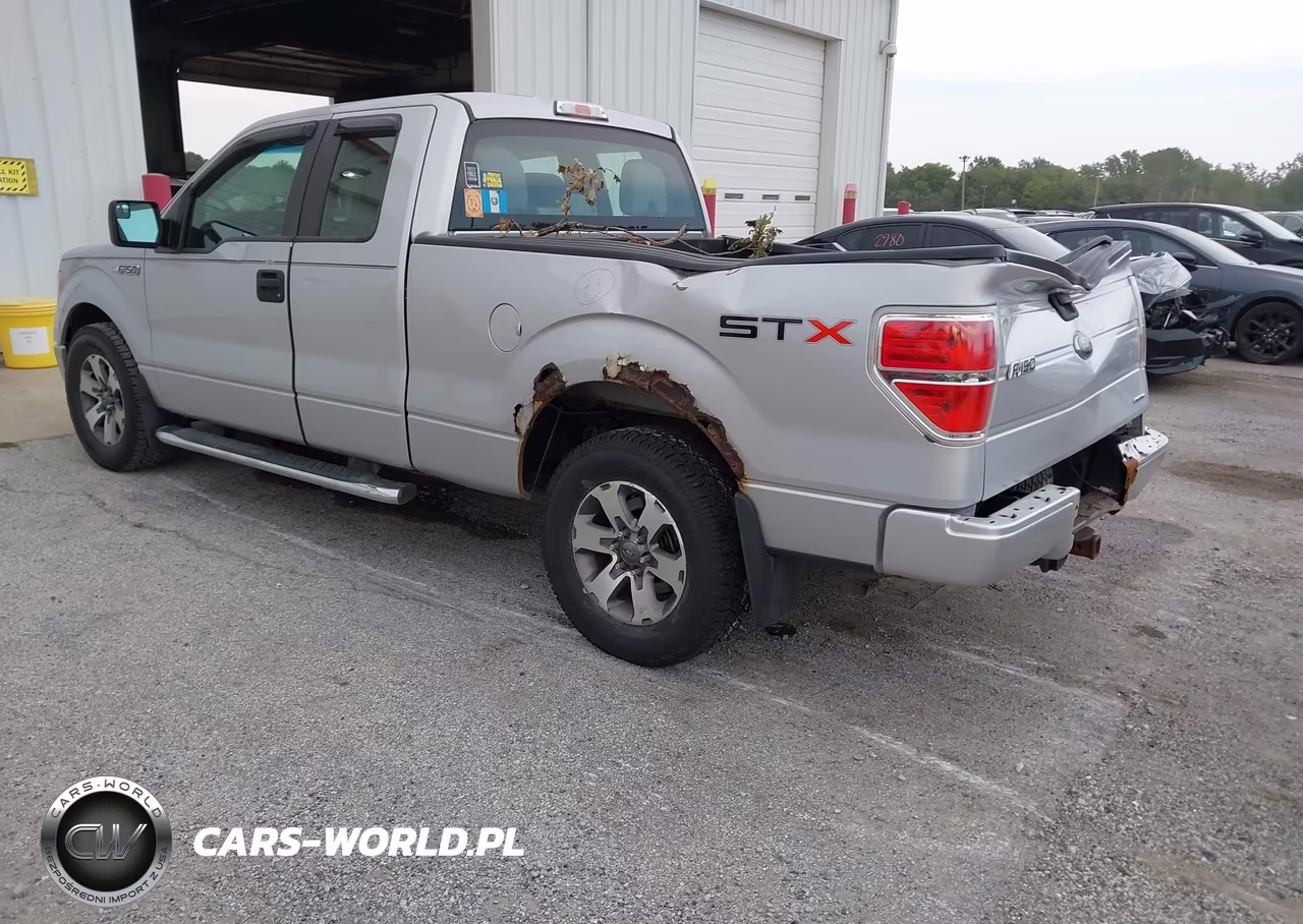 2013 Ford F-150 Stx VIN:1FTFX1CF9DKD59997 - 3