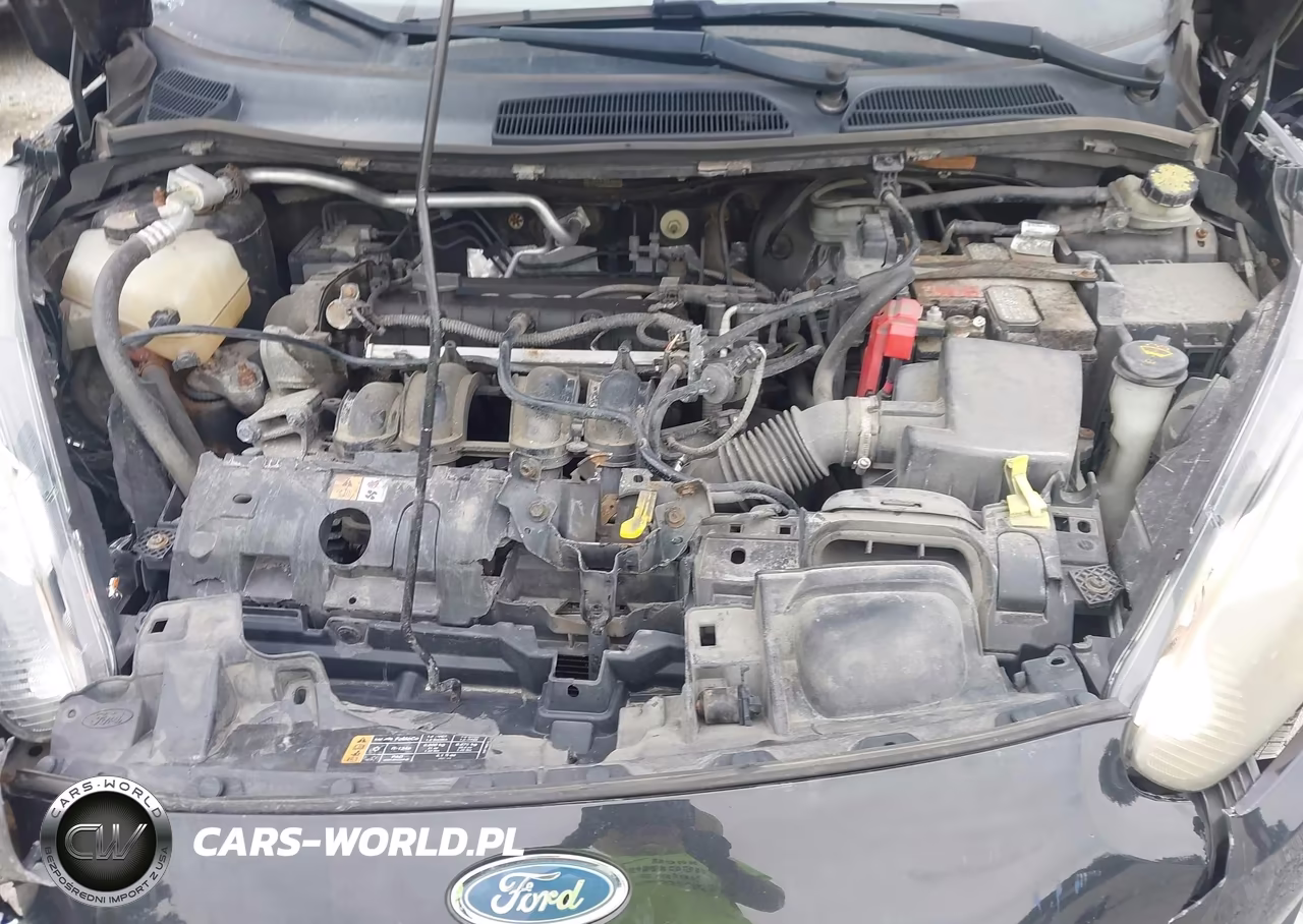 2014 Ford Fiesta Se VIN:3FADP4BJ9EM232357 - 10