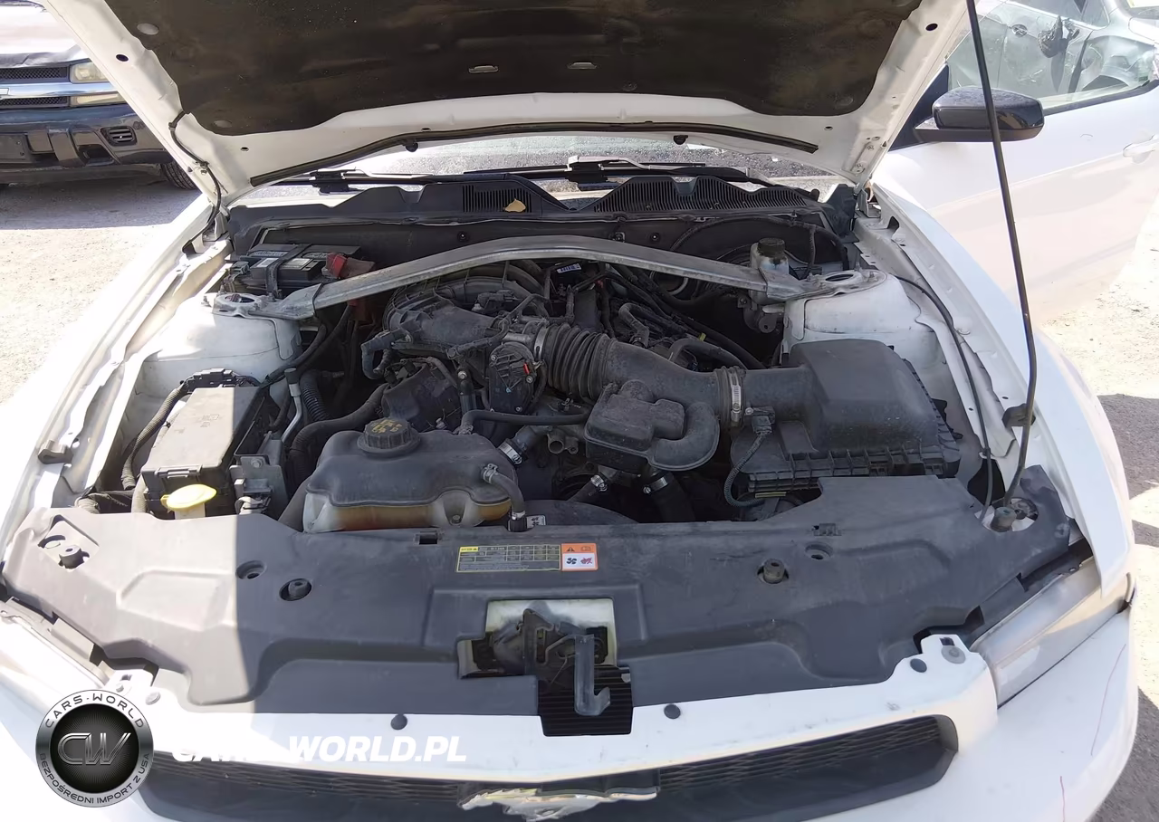 2012 Ford Mustang V6 VIN:1ZVBP8EM5C5273194 - 10