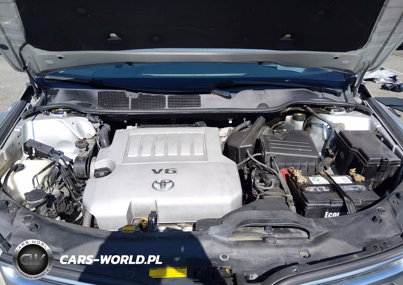 2009 Toyota Venza Base V6 VIN:4T3BK11A29U017231 - 10