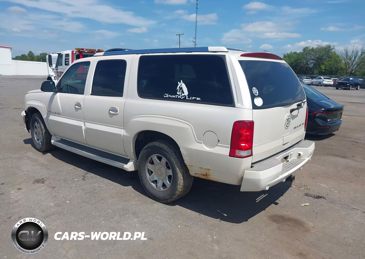 2004 Cadillac Escalade Esv Standard VIN:3GYFK66N14G318618 - 3