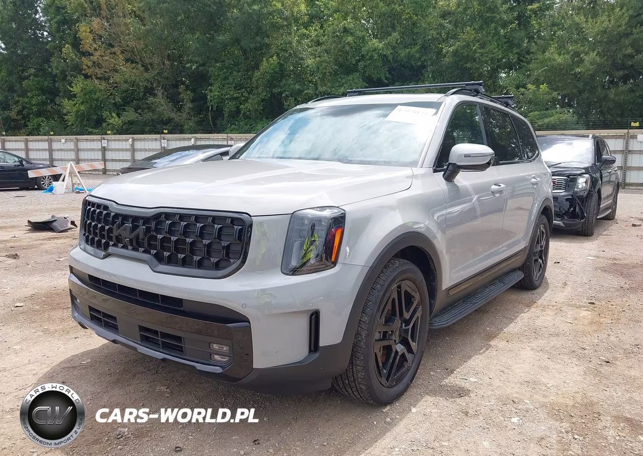 2025 Kia Telluride Sx Prestige X-Line VIN:5XYP5DGC5SG677887 - 2