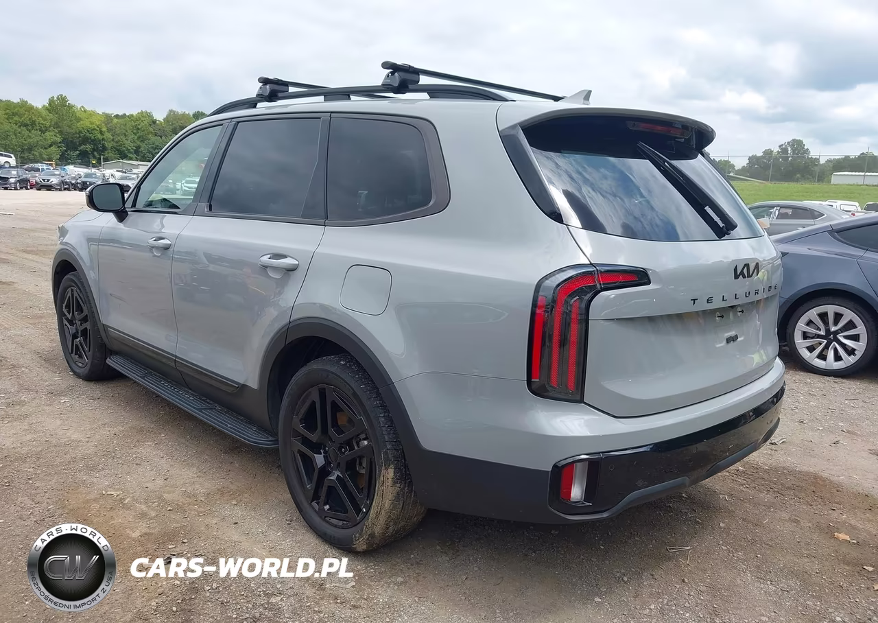 2025 Kia Telluride Sx Prestige X-Line VIN:5XYP5DGC5SG677887 - 3