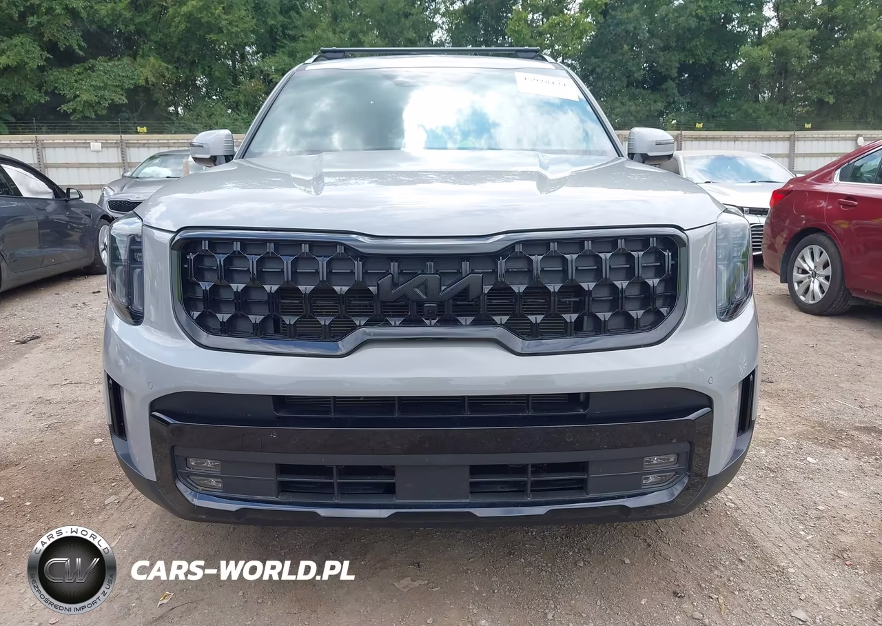 2025 Kia Telluride Sx Prestige X-Line VIN:5XYP5DGC5SG677887 - 6