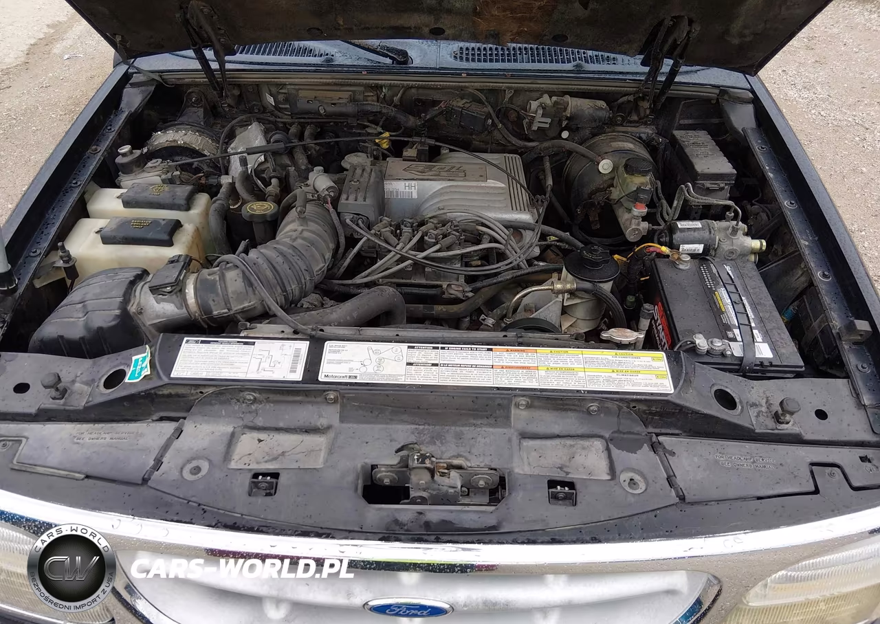1997 Ford Explorer Eddie Bauer-Limited-Xlt VIN:1FMDU35P6VZB45460 - 10