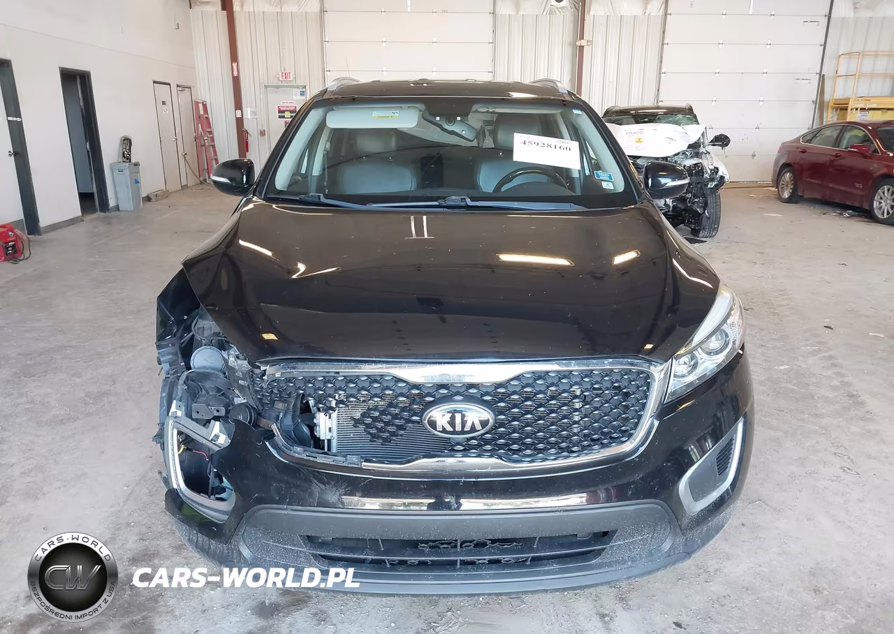 2017 Kia Sorento 2.4L Lx VIN:5XYPGDA38HG263868 - 12