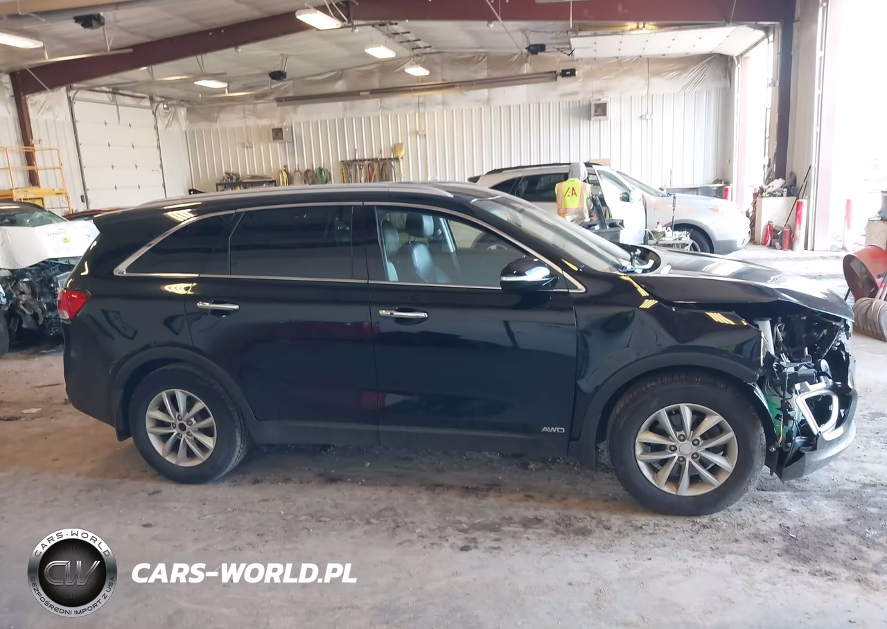 2017 Kia Sorento 2.4L Lx VIN:5XYPGDA38HG263868 - 13