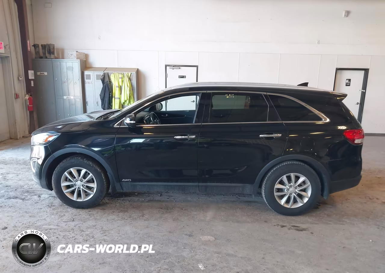 2017 Kia Sorento 2.4L Lx VIN:5XYPGDA38HG263868 - 14