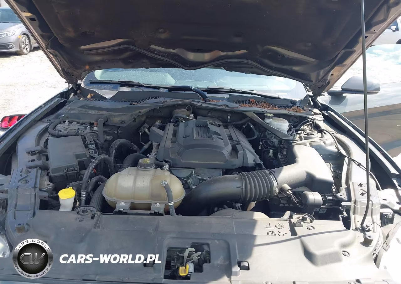 2020 Ford Mustang Ecoboost Premium VIN:1FATP8UH5L5101474 - 10