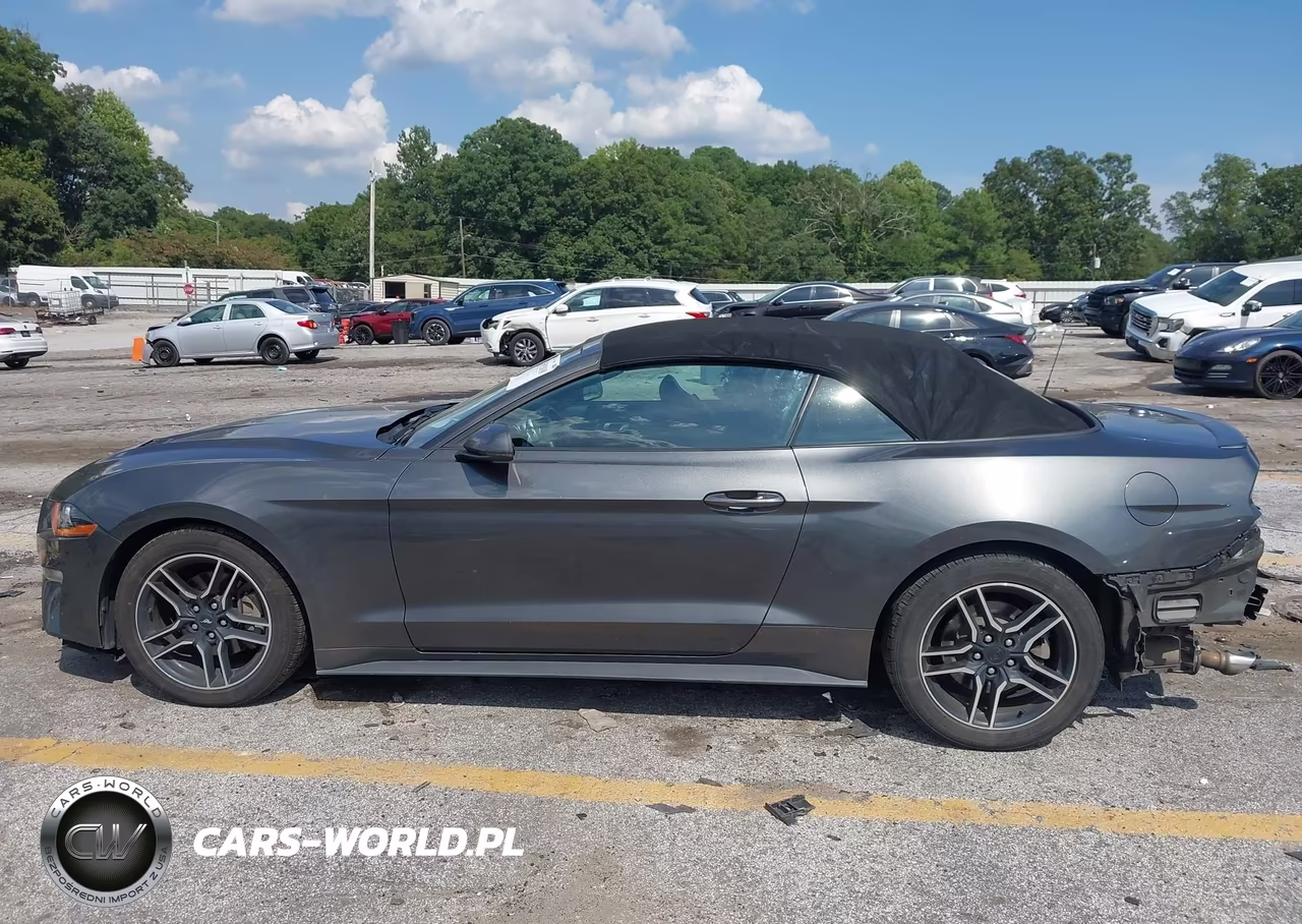 2020 Ford Mustang Ecoboost Premium VIN:1FATP8UH5L5101474 - 14