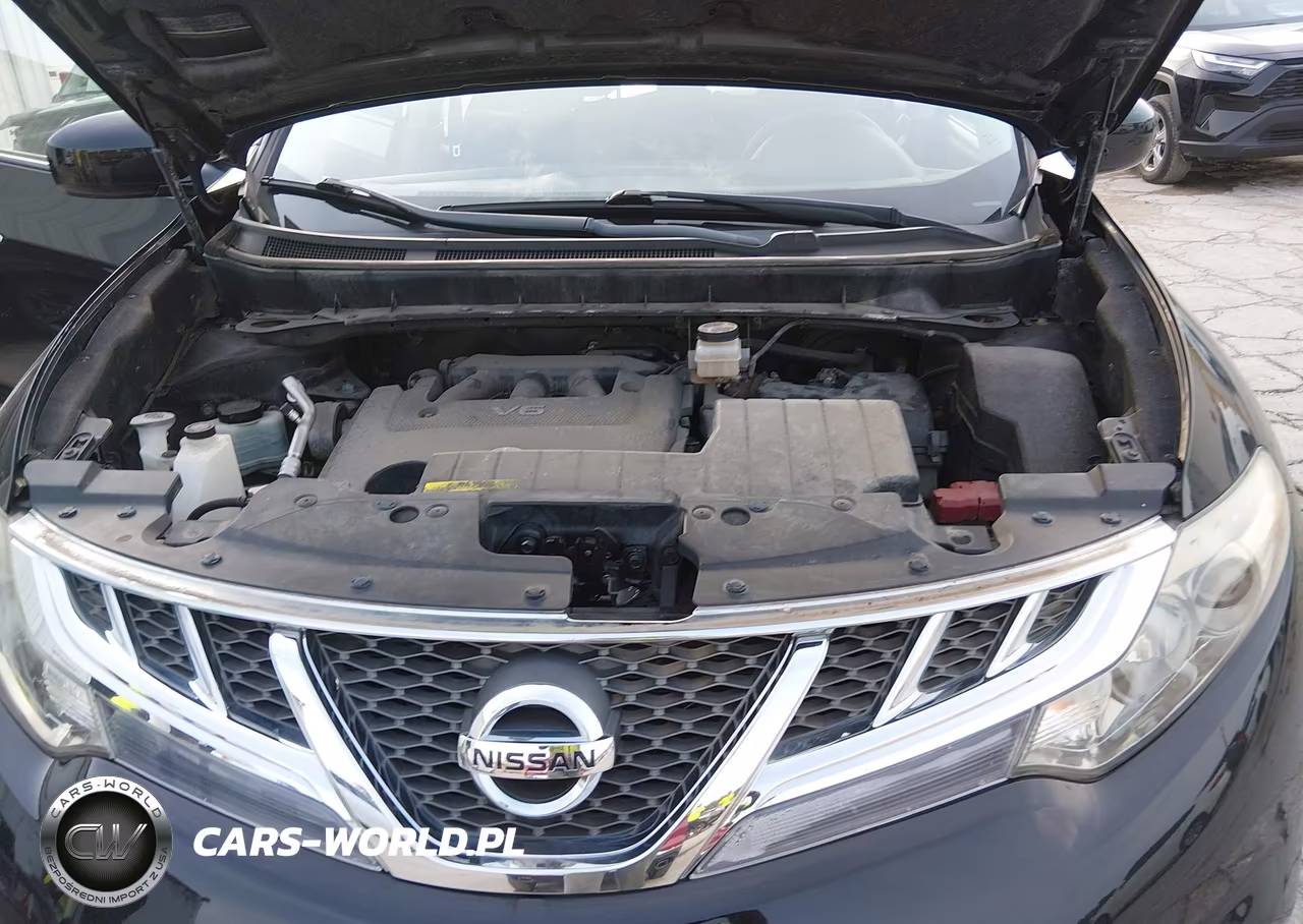 2014 Nissan Murano Sv VIN:JN8AZ1MW9EW512637 - 10