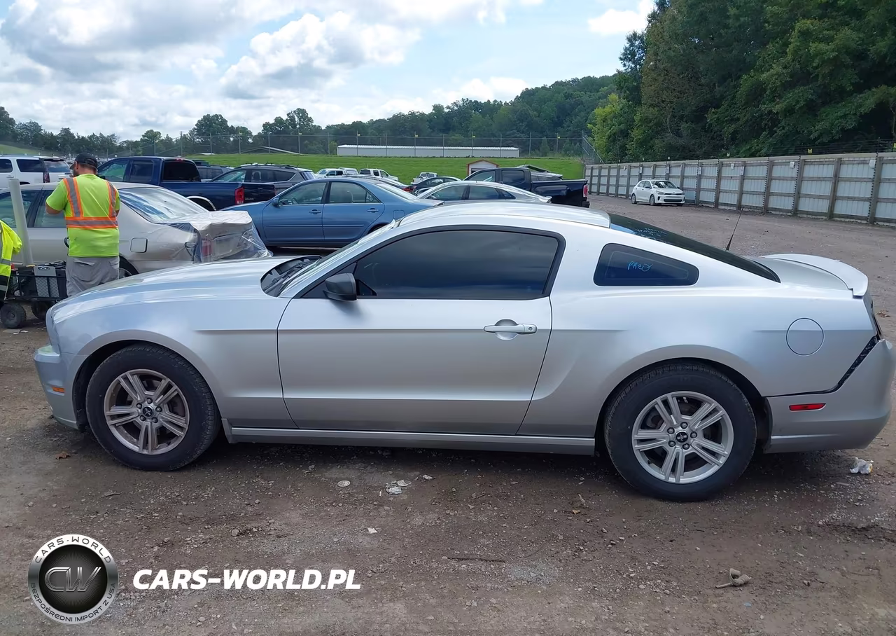 2013 Ford Mustang V6 VIN:1ZVBP8AM2D5270082 - 14