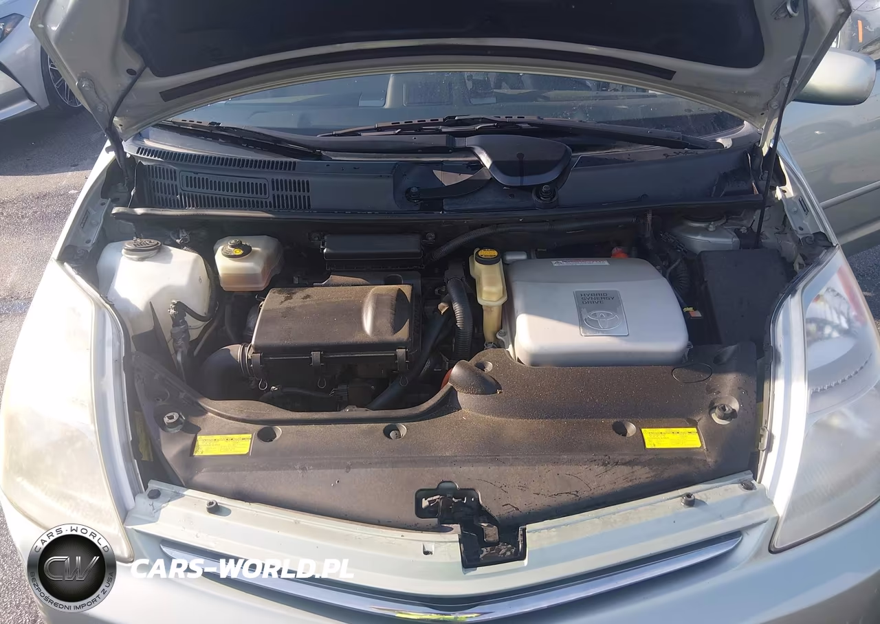 2009 Toyota Prius VIN:JTDKB20U393512817 - 10