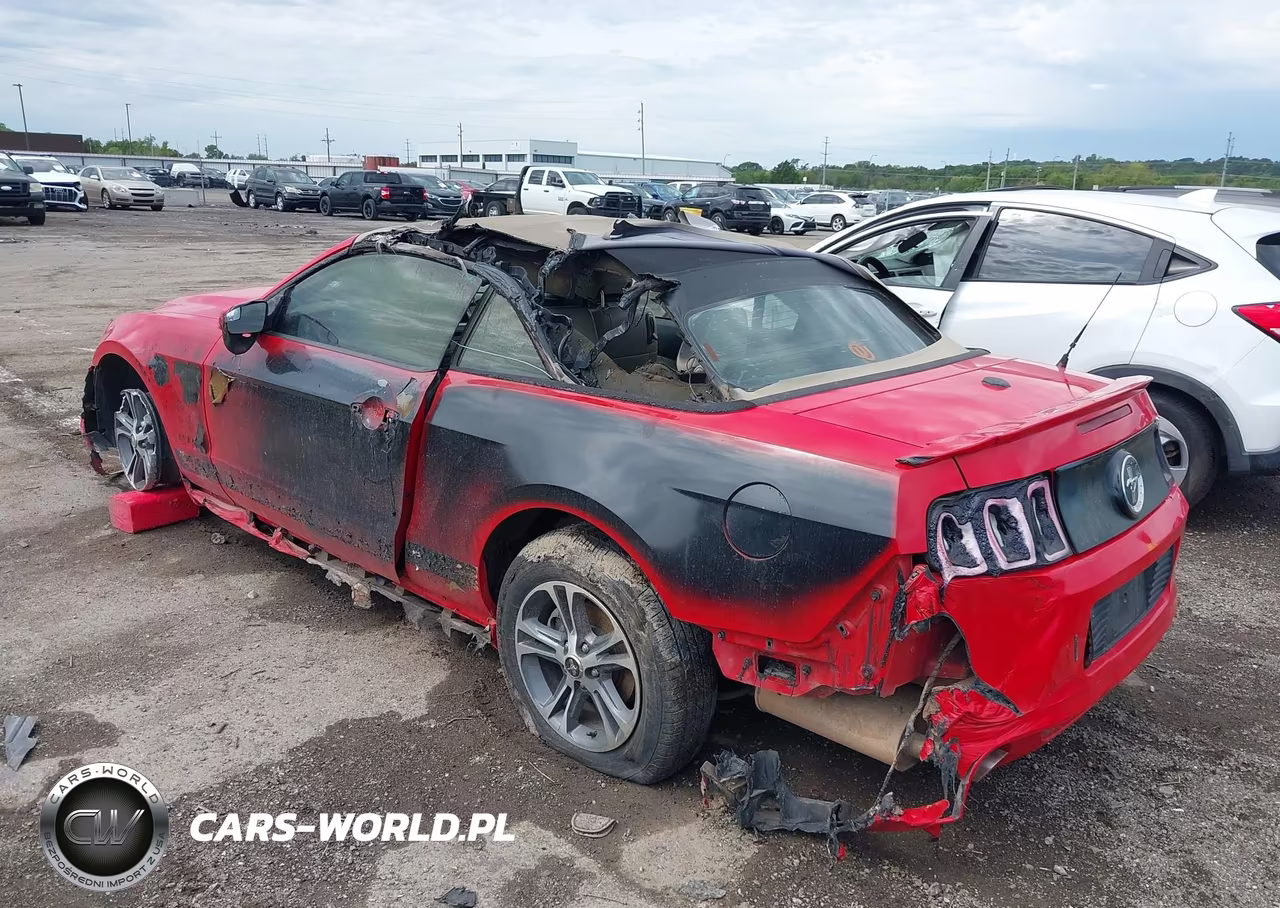 2014 Ford Mustang V6 Premium VIN:1ZVBP8EM8E5236501 - 3