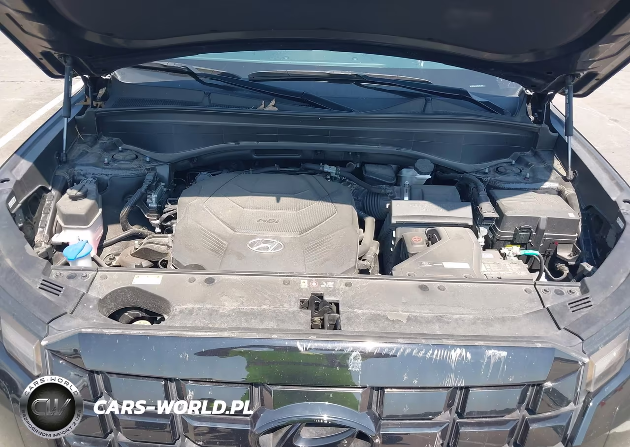 2024 Hyundai Palisade Sel VIN:KM8R24GEXRU751358 - 10
