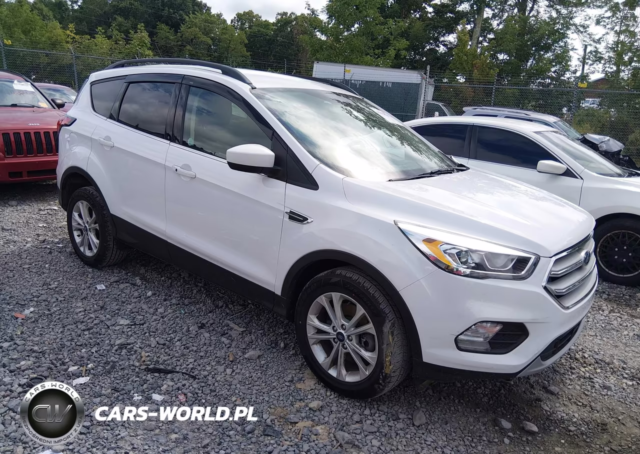 2019 Ford Escape Sel