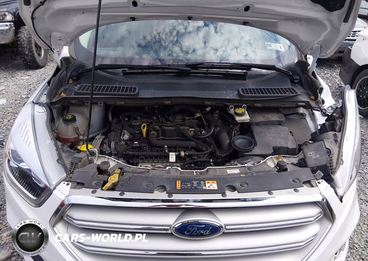 2019 Ford Escape Sel VIN:1FMCU9HD0KUB76891 - 10