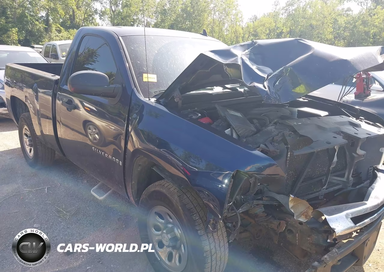 2009 Chevrolet Silverado 1500 Work Truck
