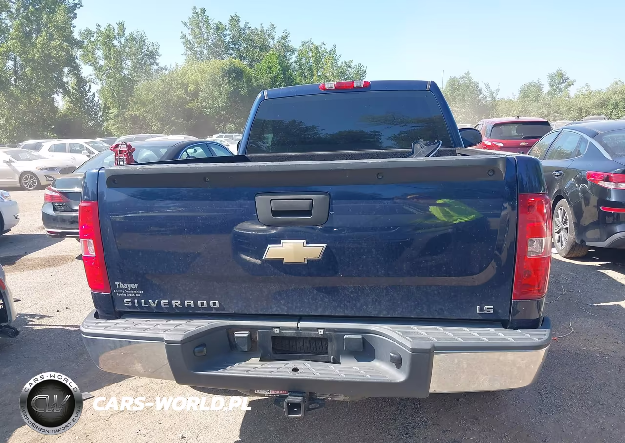 2009 Chevrolet Silverado 1500 Work Truck VIN:1GCEK14C39Z133287 - 17