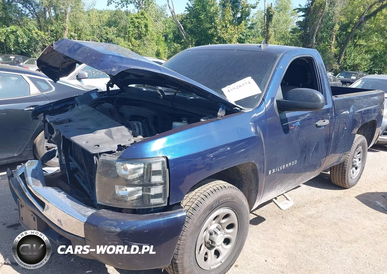 2009 Chevrolet Silverado 1500 Work Truck VIN:1GCEK14C39Z133287 - 2