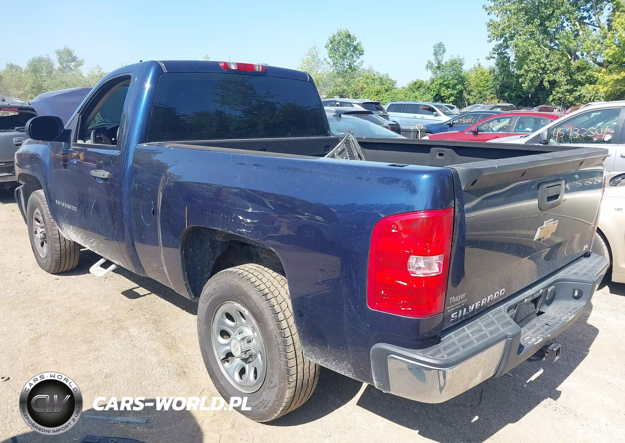 2009 Chevrolet Silverado 1500 Work Truck VIN:1GCEK14C39Z133287 - 3