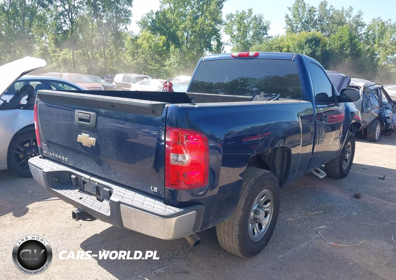 2009 Chevrolet Silverado 1500 Work Truck VIN:1GCEK14C39Z133287 - 4